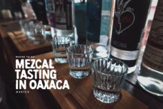 Mezcalerias in Oaxaca: Top 6 Bars for Mezcal Tasting