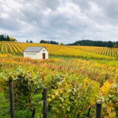 10 Best Wineries in Willamette Valley According to a Sommelier