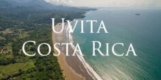 Uvita Travel Guide: Costa Ballena Main Village and Tourist Hub