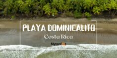 Playa Dominicalito: Little Brother of Dominical Beach