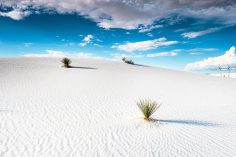 White Sands National Park (Must-Know Tips, Where To Stay & More)