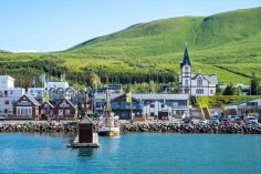 7 Awesome Things to Do in Husavik: How to Spend One Day in Husavik, Iceland