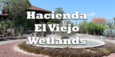 Hacienda El Viejo Wetlands: Wildlife Watching and Costa Rican Culture in Guanacaste