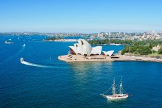 The Budget Traveler’s Guide To Seeing Sydney