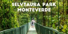Selvatura Park, Monteverde – Flying Over the Cloud Forest