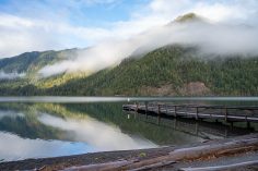 Olympic National Park in Winter: Things to Do + Tips for Visiting