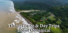 Best Day Trips from Dominical