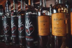 Learn All About Mezcal on This Oaxaca Mezcal Tour