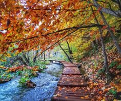 Seasonal highlights of Plitvice Lakes National Park