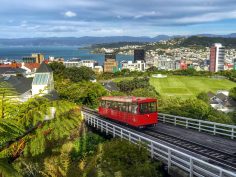 15 Awesome Things to Do in Wellington, New Zealand on Your First Trip