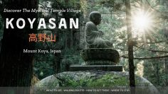 Discover The Ancient World Of Koyasan, Japan – A Complete Travel Guide