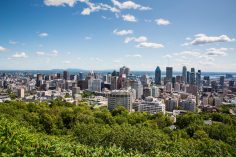 From a local: 13 essential things to do in Montreal in 2023