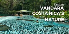 Vandara Explore Costa Rica’s Nature Guanacaste Adventure Park