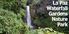 La Paz Waterfall Gardens: A Fantastic Rainforest Park
