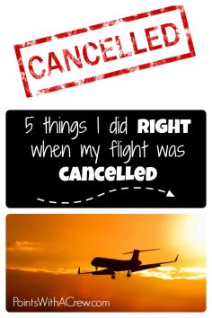5 things I did right when my flight was canceled
