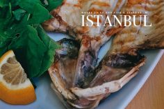 10 Amazing Fish and Seafood Restaurants in Istanbul, Turkiye (Turkey)