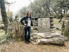 The Petrified Forest in Calistoga: California’s Famous Trees