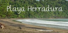 Playa Herradura: Popular Fishing Destination with Luxury Marina