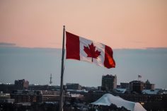 Pathways to Canada: Your Guide to Work Permits and LMIA Approval