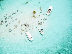Stingray City Tour: Swimming with Stingrays in Grand Cayman