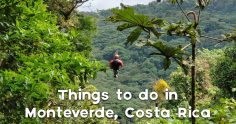 Incredible Things to Do in Monteverde to Experience the Best of the Cloud Forest