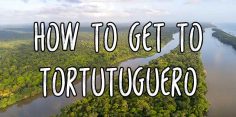 How to Get to Tortuguero by Boat and Plane