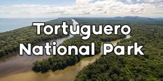 Tortuguero, Costa Rica: The Little Amazon of Costa Rica