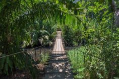 Backpacking Costa Rica: How To Travel On A Budget