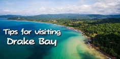 Drake Bay – All You Need To Know About Visiting