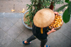 Is Vietnam Actually… Underrated? Pros And Cons Of Visiting Vietnam