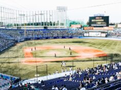 How to See a Japanese Baseball Game in Tokyo