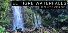 El Tigre Waterfalls Monteverde: Epic Waterfall and Hanging Bridges Hike