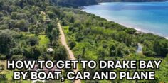 How to Get to Drake Bay: Car, Boat, Plane