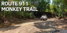 Route 911 (Monkey Trail): River Crossing, Road Condition, What to Know