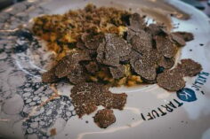 Croatian Truffles: Spend the Day Hunting for White Truffles in Istria!