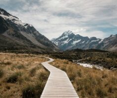 Navigating New Zealand: Private guided travel vs. standard tours